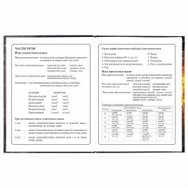 Дневник 1-4 класс 48 л., твердый, ЮНЛАНДИЯ, глянцевая ламинация, с подсказом, "Football", 106349