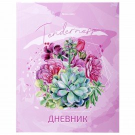 Дневник 5-11 класс 48 л., твердый, BRAUBERG, глянцевая ламинация, с подсказом, "Кактусы", 106628