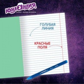 Тетради ДЭК 12 л. КОМПЛЕКТ 20 шт. с ЗЕЛЁНОЙ обложкой, ЮНЛАНДИЯ, линия, 106742