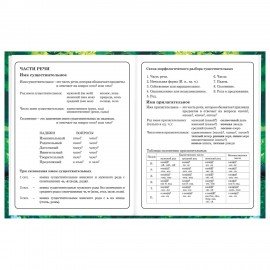 Дневник 1-4 класс 48 л., твердый, BRAUBERG, глянцевая ламинация, с подсказом, "Панда", 107158