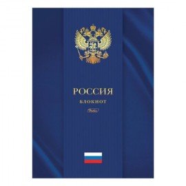 Блокнот БОЛЬШОЙ ФОРМАТ А4 205х290 мм, 80 л., твердый переплет, клетка, блок 5 цветов, HATBER, "Россия", 80ББ4лофВ1