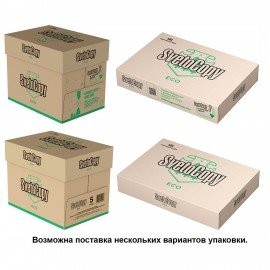 Бумага офисная А4, 80 г/м2, 500 л., SVETOCOPY ECO, белизна 60%, Россия