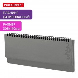 Планинг датированный 2025 305х140мм BRAUBERG Up, под кожу, серый, 115705