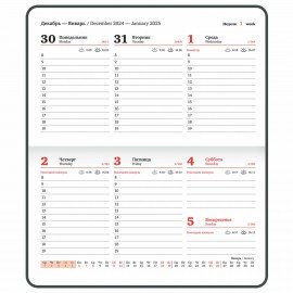 Еженедельник датированный 2025 МАЛЫЙ ФОРМАТ 95х155мм А6, BRAUBERG Vista, под кожу, Макро, 115995