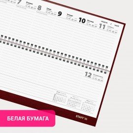 Планинг датированный 2025 300х130мм, STAFF, гребень, обложка бумвинил, 64л, бордовый, 116046