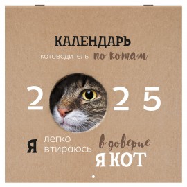 Календарь настенный перекидной 2025г, BRAUBERG, 12 листов, 29х29см, Смешные котики, 116165