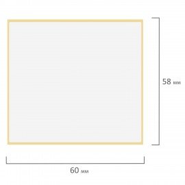 Этикетка ТермоТоп (58х60 мм), 500 этикеток в ролике, светостойкость до 12 месяцев
