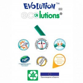 Карандаш чернографитный BIC, 1 шт., "Evolution", HB, корпус зеленый, 8803112