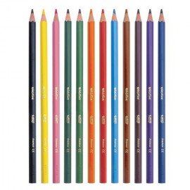 Карандаши цветные BIC "Kids ECOlutions Evolution", 12 ЦВЕТОВ, пластиковые, европодвес, 82902914