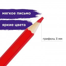 Карандаши цветные акварельные BRAUBERG "АКАДЕМИЯ", 12 цветов, шестигранные, высокое качество, 181398