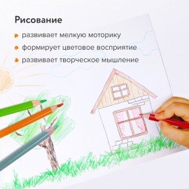 Карандаши цветные BRAUBERG PREMIUM, 36 цветов, трехгранные, грифель 3,3 мм, натуральное дерево, 181654