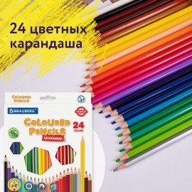 Карандаши цветные BRAUBERG PREMIUM, 24 цвета, пластиковые, шестигранные, грифель 3 мм, 181668