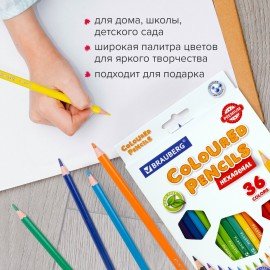 Карандаши цветные BRAUBERG PREMIUM, 36 цветов, пластиковые, шестигранные, грифель 3 мм, 181669