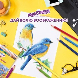 Карандаши цветные ЮНЛАНДИЯ "ДОМИКИ", 24 цвета, пластиковые, классические, грифель мягкий 3 мм, 181838