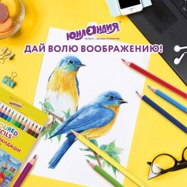 Карандаши цветные ЮНЛАНДИЯ "ДОМИКИ", 36 цветов, пластиковые, классические, грифель мягкий 3 мм, 181839