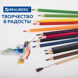 Карандаши цветные акварельные классические мягкие BRAUBERG, 12 цветов, с КИСТЬЮ, 181848