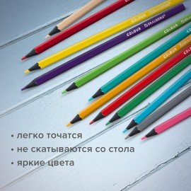 Карандаши цветные BRAUBERG, 12 цветов, черное дерево, грифель мягкий 3,3 мм, 181856