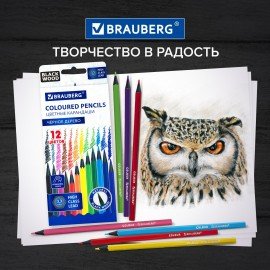 Карандаши цветные BRAUBERG, 12 цветов, черное дерево, грифель мягкий 3,3 мм, 181856