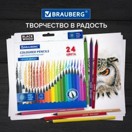 Карандаши цветные BRAUBERG, 24 цвета, черное дерево, грифель мягкий 3,3 мм, 181858