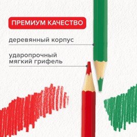 Карандаши цветные мягкие BRAUBERG АКАДЕМИЯ, 6 цветов, шестигранные, грифель 3 мм, 181863