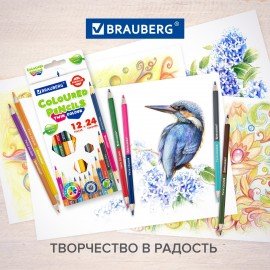 Карандаши цветные двусторонние BRAUBERG PREMIUM TWIN COLOUR, 12 штук, 24 цвета, 181874