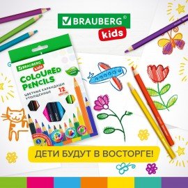 Карандаши цветные утолщенные BRAUBERG KIDS 12 цветов, грифель 5 мм, 181878