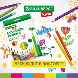 Карандаши цветные утолщенные BRAUBERG KIDS 24 цвета, грифель 5 мм, 181879