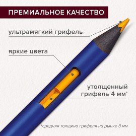 Карандаши художественные цветные акварельные, 48 цветов, 4 мм, металлический кейс, BRAUBERG ART PREMIERE, 181924