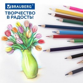 Карандаши цветные стираемые с ластиком BRAUBERG ERASABLE, 12 цветов, мягкий грифель 3 мм, 181932