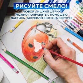 Карандаши цветные стираемые с ластиком BRAUBERG ERASABLE, 12 цветов, мягкий грифель 3 мм, 181932