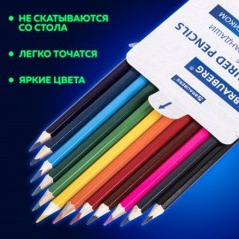 Карандаши цветные стираемые с ластиком BRAUBERG ERASABLE, 12 цветов, мягкий грифель 3 мм, 181932