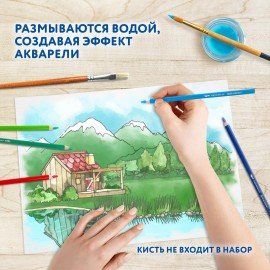 Карандаши цветные акварельные BRAUBERG PREMIUM AQUARELLE 36 цветов в тубе, трёхгранные, 181933