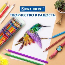 Карандаши цветные BRAUBERG PREMIUM 50 цветов в тубе, трехгранные, грифель 3,3 мм, 181935