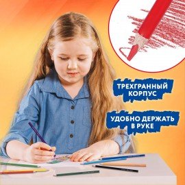 Карандаши цветные BRAUBERG PREMIUM 12 цветов + 1 чернографитный карандаш, трехгранные, грифель 3 мм, 181936