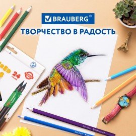 Карандаши цветные пластиковые, BRAUBERG PREMIUM 24 цвета + 2 чернографитных карандаша, 181937