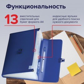 Папка-портфель пластиковая BRAUBERG А4 (332х245х35 мм), 13 отделений, синяя, 221379