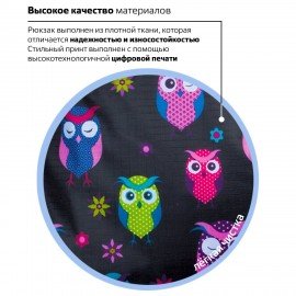 Рюкзак BRAUBERG СИТИ-ФОРМАТ универсальный, "Owls", черный, 41х32х14 см, 225361