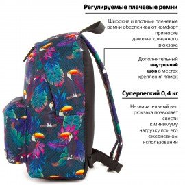 Рюкзак BRAUBERG СИТИ-ФОРМАТ универсальный, "Toucans", разноцветный, 41х32х14 см, 228847