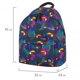 Рюкзак BRAUBERG СИТИ-ФОРМАТ универсальный, "Toucans", разноцветный, 41х32х14 см, 228847