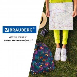 Рюкзак BRAUBERG СИТИ-ФОРМАТ универсальный, "Toucans", разноцветный, 41х32х14 см, 228847