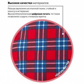 Рюкзак BRAUBERG СИТИ-ФОРМАТ универсальный, "Scottish cell", разноцветный, 41х32х14 см, 228861