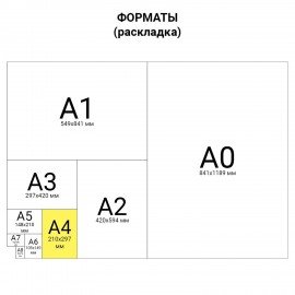 Папка для тетрадей ЮНЛАНДИЯ А4, 1 отделение, пластик, молния сверху, "Ballet", 229108