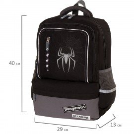 Рюкзак BRAUBERG STAR, 1 отделение, 5 карманов, "Spider", черный, 40х29х13 см, 229978