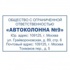 Оснастка для штампа, размер оттиска 60х33 мм, синий, TRODAT 4928, подушка в комплекте, 53122