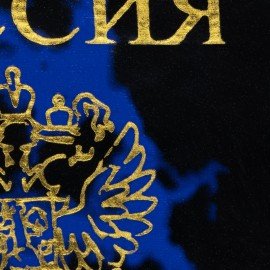 Обложка для паспорта, тиснение "Герб", ПВХ, ассорти, STAFF, 237580