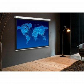 Экран Cactus Wallscreen CS-PSW-150x150, 150x150см, 1:1, настенно-потолочный, белый