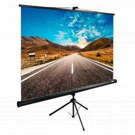 Экран Cactus TriExpert CS-PSTE-160x160-BK, 160x160см, 1:1, напольный, черный