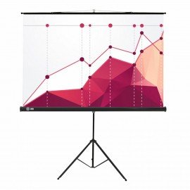 Экран Cactus Triscreen CS-PST-180x180, 180x180см, 1:1, напольный, черный