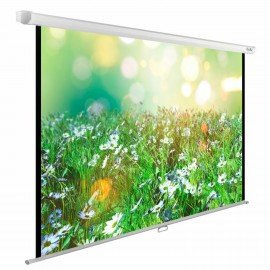 Экран Cactus WallExpert CS-PSWE-200x200-WT, 200x200см, 1:1, настенно-потолочный, белый