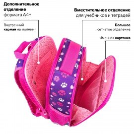 Ранец BRAUBERG FIT, 2 отделения, "Playing kitty", 3D-панель, 38х27х14 см, 270615